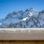 公寓 Ski-in Ski-out With Chimney And View