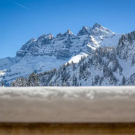 Apartment Hermine 1, Ski-in Ski-out With Chimney