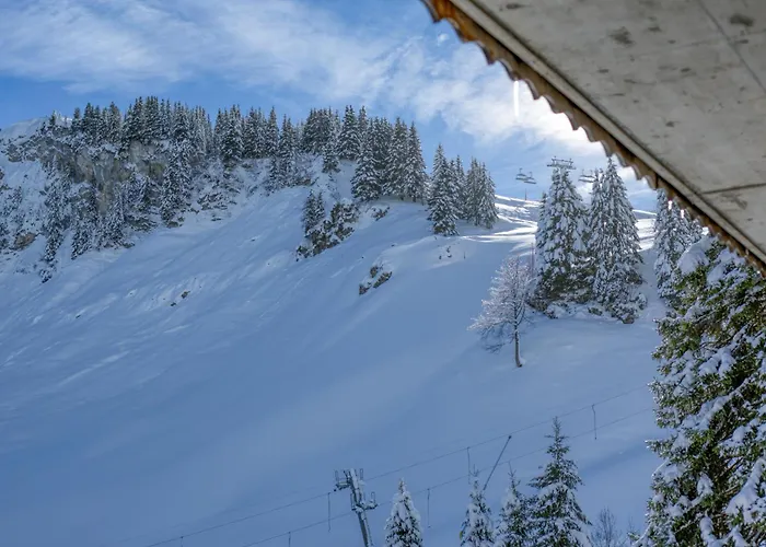 Ski-In Ski-Out With Chimney And View Appartement