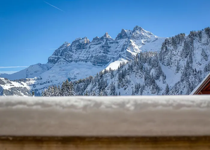 Apartment Ski-In Ski-Out With Chimney And View
