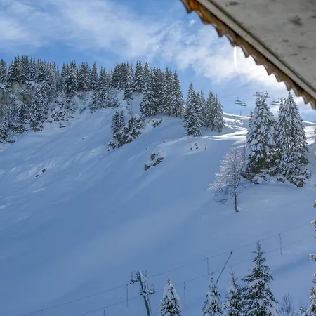 Hermine 1, Ski-in Ski-out With Chimney 公寓