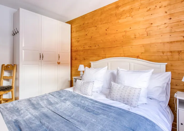 Hermine 1, Ski-in Ski-out With Chimney 公寓 莱斯·克洛塞特斯